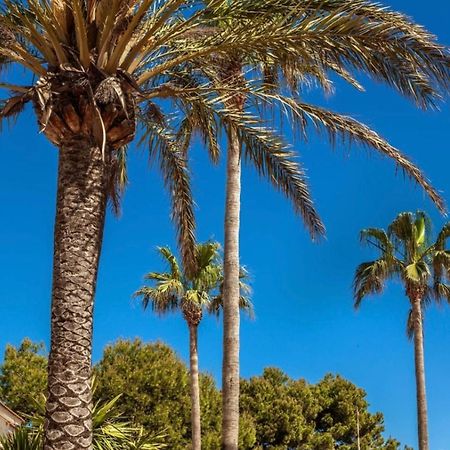 Bonito Apartamento Con Terraza, Jardin Y Piscina Cala en Bosch Dış mekan fotoğraf