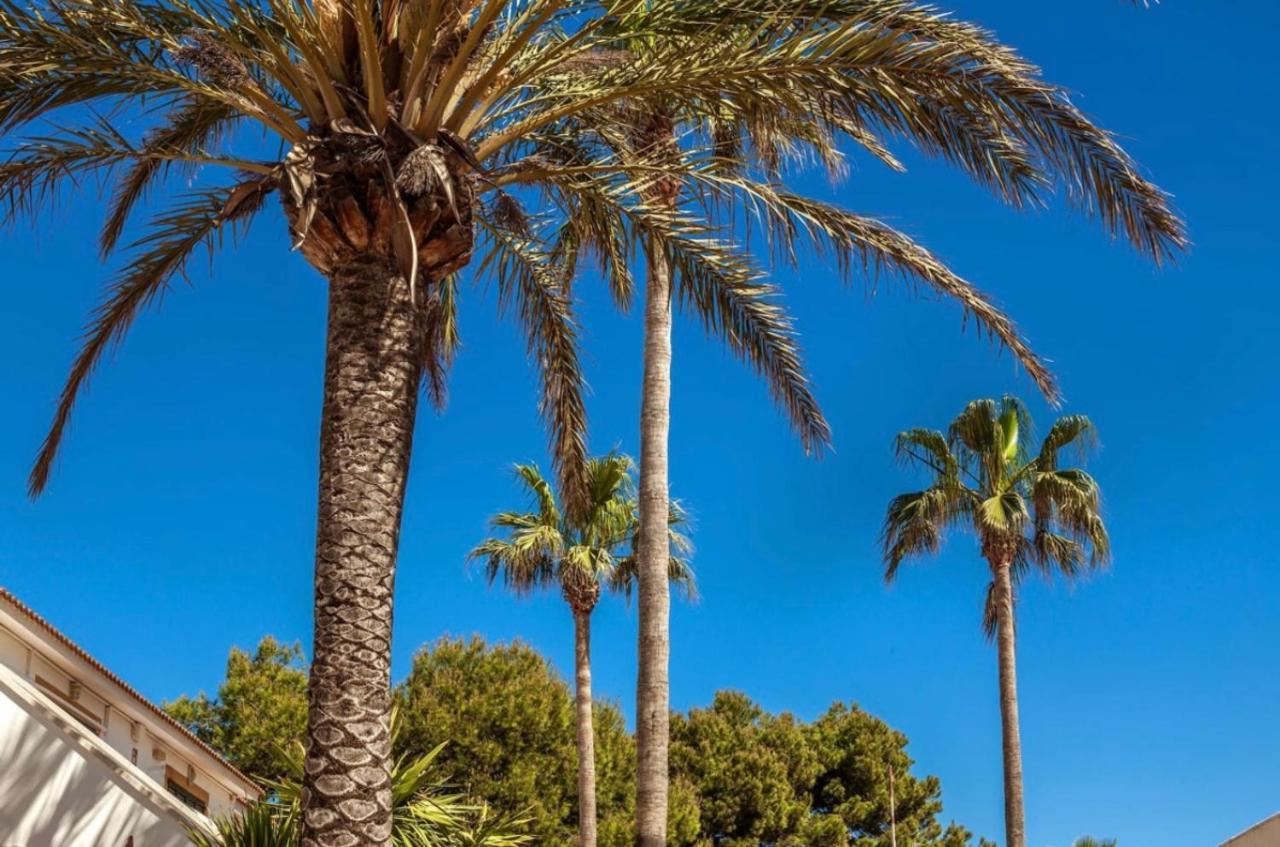 Bonito Apartamento Con Terraza, Jardin Y Piscina Cala en Bosch Dış mekan fotoğraf
